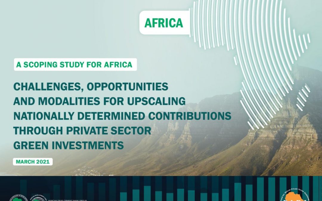 Africa Private sector report on green investments to fight climate change