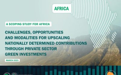Africa Private sector report on green investments to fight climate change