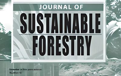Culm Allometry and Carbon Storage Capacity of Bambusa vulgaris Schrad. ex J.C.WendL. in the Tropical Evergreen Rain Forest of Cameroon