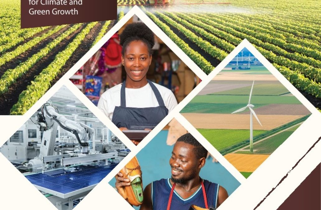 West Africa Economic Outlook 2023: Mobilizing Private Sector Financing for Climate and Green Growth