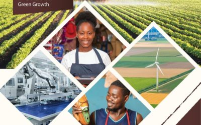 West Africa Economic Outlook 2023: Mobilizing Private Sector Financing for Climate and Green Growth