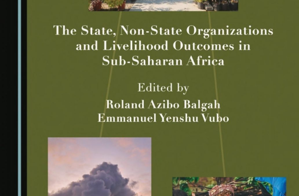 The State, Non-State Organizations and Livelihood Outcomes in Sub-Saharan Africa