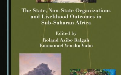 The State, Non-State Organizations and Livelihood Outcomes in Sub-Saharan Africa