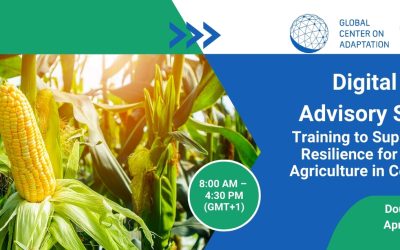 Digital Climate Advisory Services Training to Support Climate Resilience for Smallholder Agriculture in Central Africa