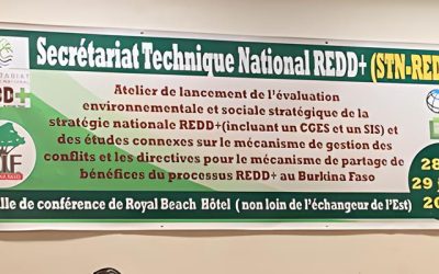 REDD+ Strategic Environmental & Social Assessment (SESA) Kick-off Workshop