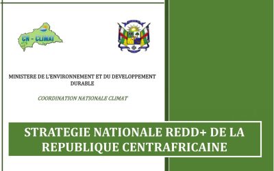 CAR REDD+ Strategy to reduce deforestation finalized