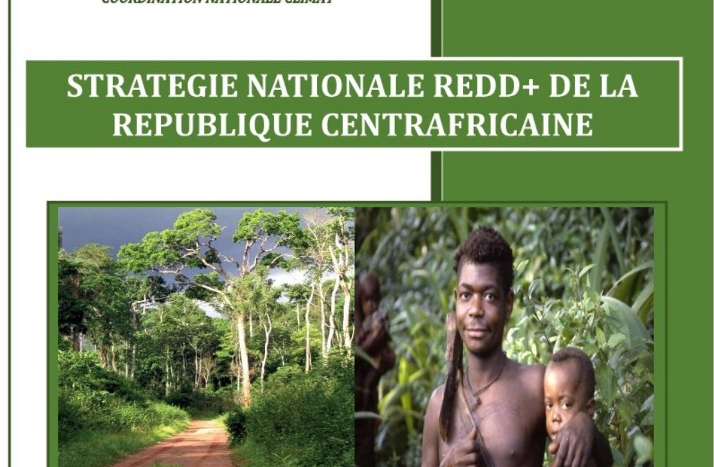 Strategie nationale Redd+ de la Republique Centrafricaine