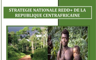 Strategie nationale Redd+ de la Republique Centrafricaine