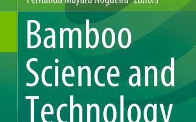 Bamboo Biomass: A Strategy for Climate Change Mitigation and Adaptation, and Forest Landscape Restoration (FLR) in Cameroon