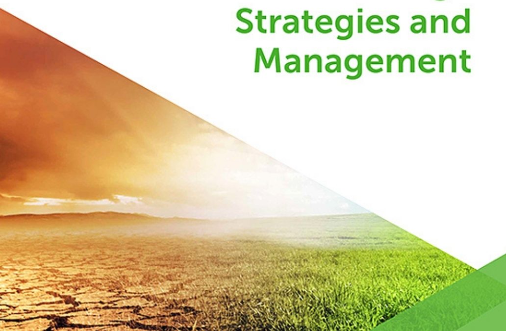 Synergizing climate change mitigation and adaptation in Cameroon: An overview of multi-stakeholder efforts
