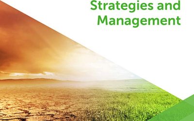 Synergizing climate change mitigation and adaptation in Cameroon: An overview of multi-stakeholder efforts