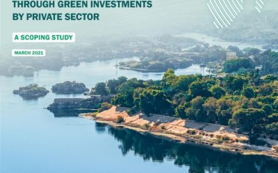 NDC implementation in Egypt through green investments by private sector – A Scoping Study