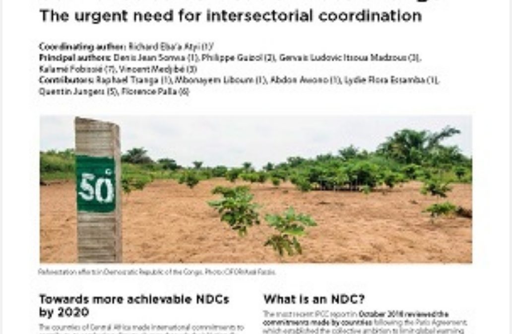OFAC-Brief : Contributions of Central African countries to combat climate change: The urgent need for intersectorial coordination