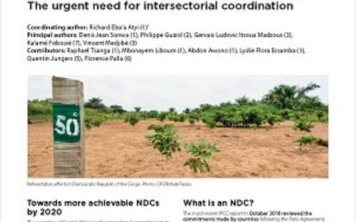 OFAC-Brief : Contributions of Central African countries to combat climate change: The urgent need for intersectorial coordination