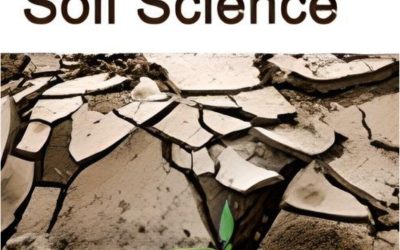 Spatio-Temporal Dynamic of Land Use in the Dja-Odzala-Minkébé Landscape between Cameroon, Congo and Gabon: Influence on the Evolution of Forest Cover in a Context of Cross-Border Cooperation