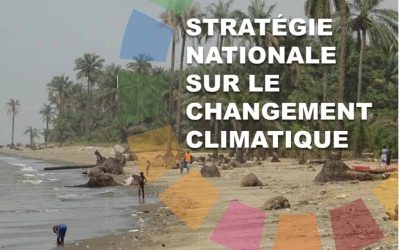 Stratégie nationale sur le changement climatique