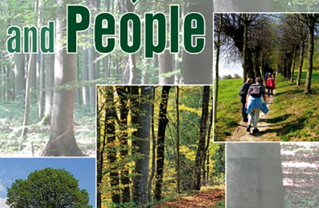 Community forestry in Cameroon: Insights on state institutional deficits