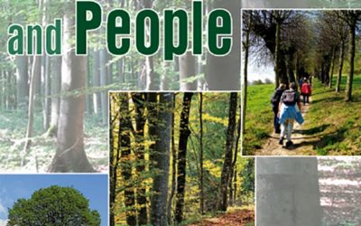 Community forestry in Cameroon: Insights on state institutional deficits