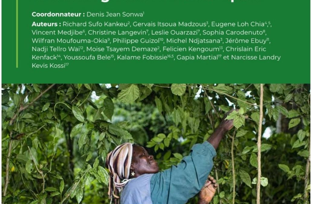 Les engagements internationaux des pays d’Afrique centrale en réponse aux changements climatiques