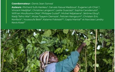 Les engagements internationaux des pays d’Afrique centrale en réponse aux changements climatiques