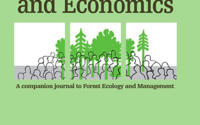 Synergies among social safeguards in FLEGT and REDD + in Cameroon
