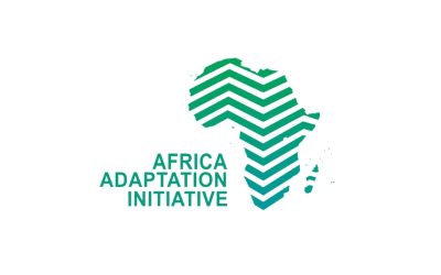 African Adaptation Initiative (AAI)
