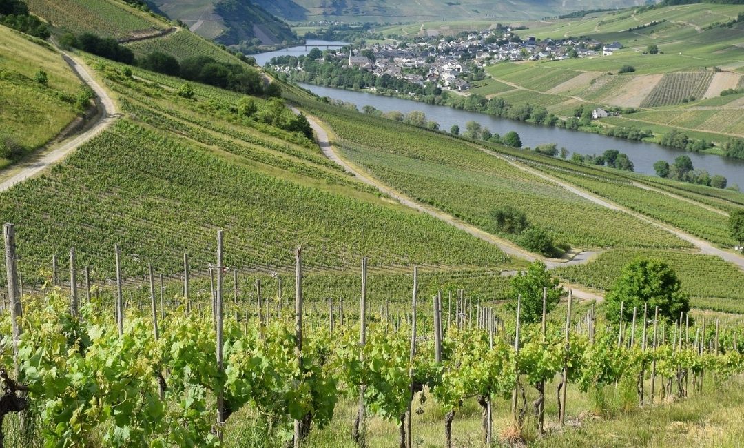 Climate Risk Finance for Sustainable Agriculture