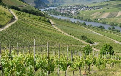 Climate Risk Finance for Sustainable Agriculture