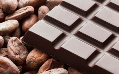 Cocoa and Forest Initiative: Expansion Assessment