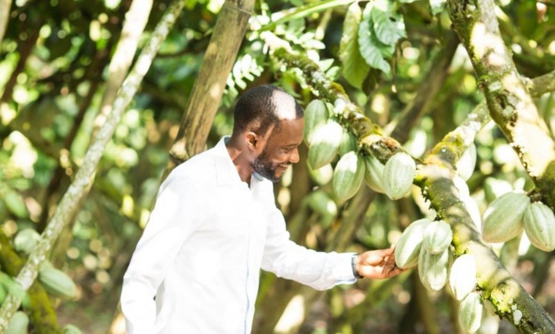 Côte d’Ivoire National Forest Finance Strategy