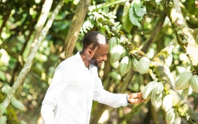 Côte d’Ivoire National Forest Finance Strategy