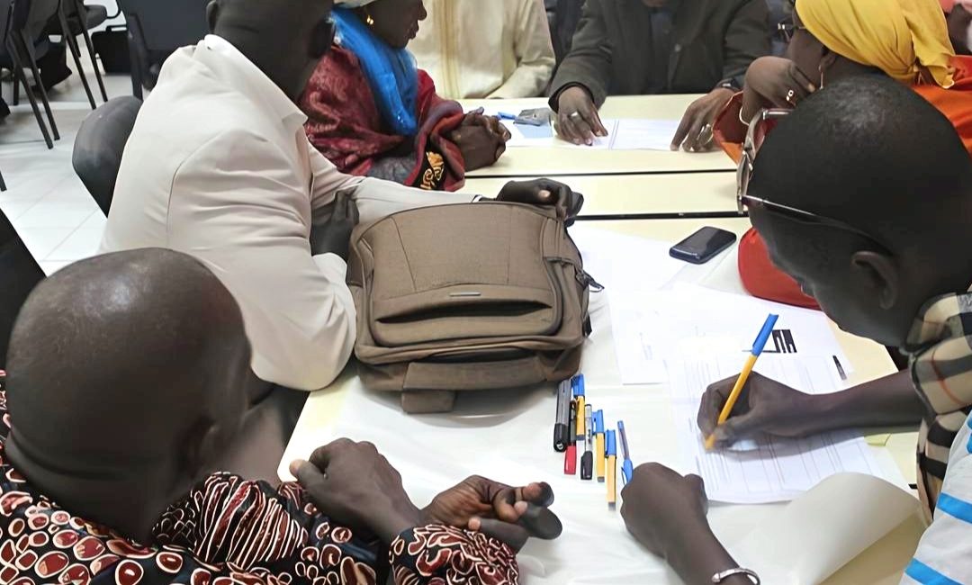 Develop teaching compendiums for training on forests and climate change in Africa