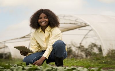 Digital Training to Support Smallholders’ Climate Resilience