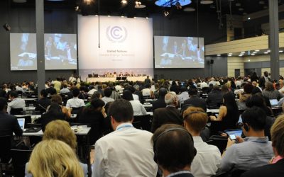 Enhancing African national forest governance to respond to the Paris Climate Agreement.