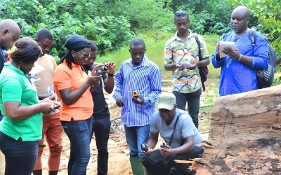 Final Evaluation of Citizen Voices for Change Project (CV4C)