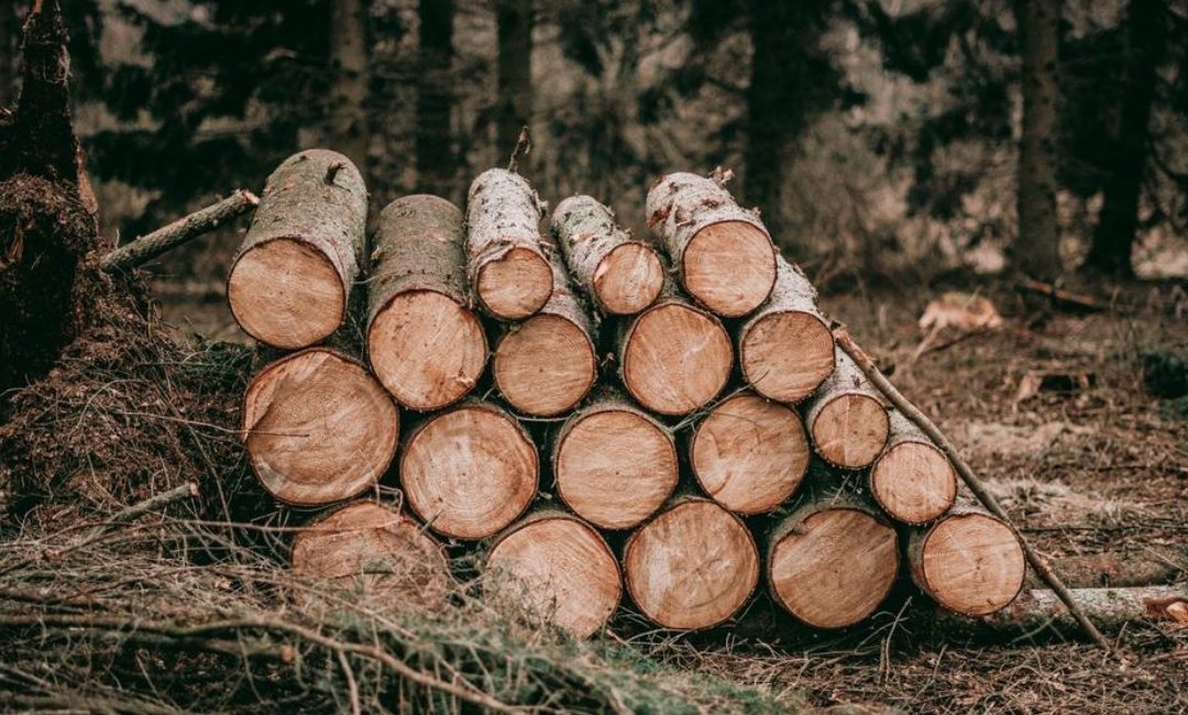 GCF Funding Proposal Development on Climate-Smart Forestry