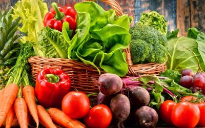 GCF Proposal Development on Climate Resilient Food and Nutrition Security