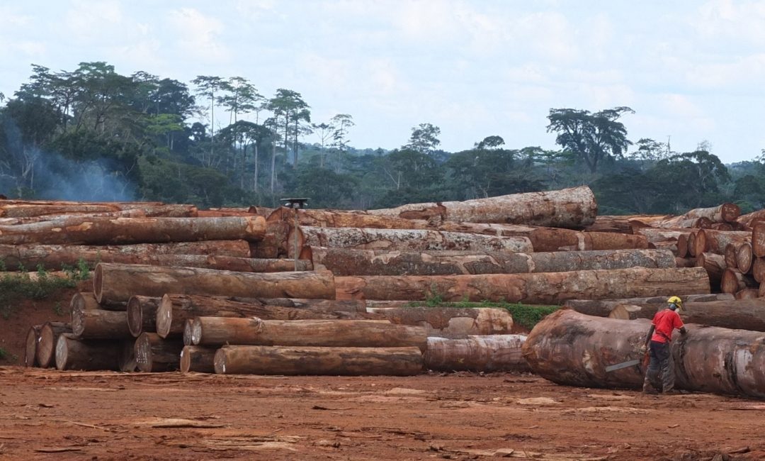 Green Commodity Landscape Program (GCLP)