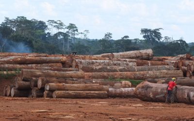 Green Commodity Landscape Program (GCLP)
