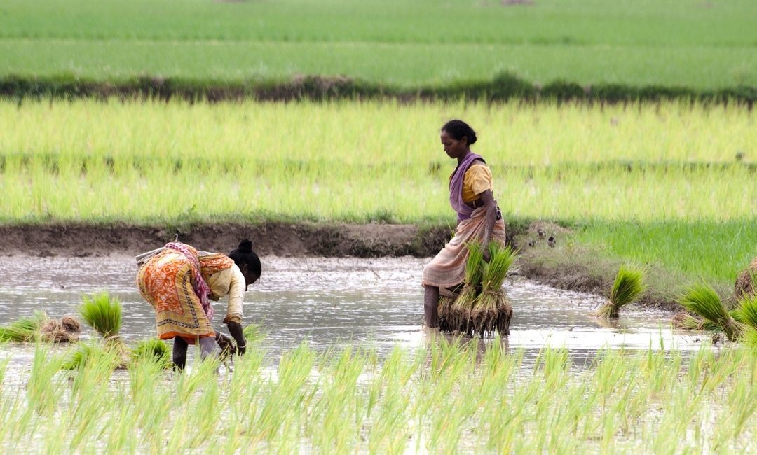 Long Term Agreement to Prepare GCF Funding Proposals
