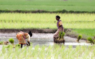 Long Term Agreement to Prepare GCF Funding Proposals