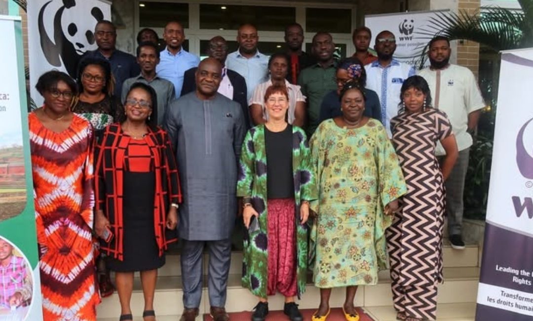 Mid-term Evaluation of LtC Program: Africa Youth Thematic Hub