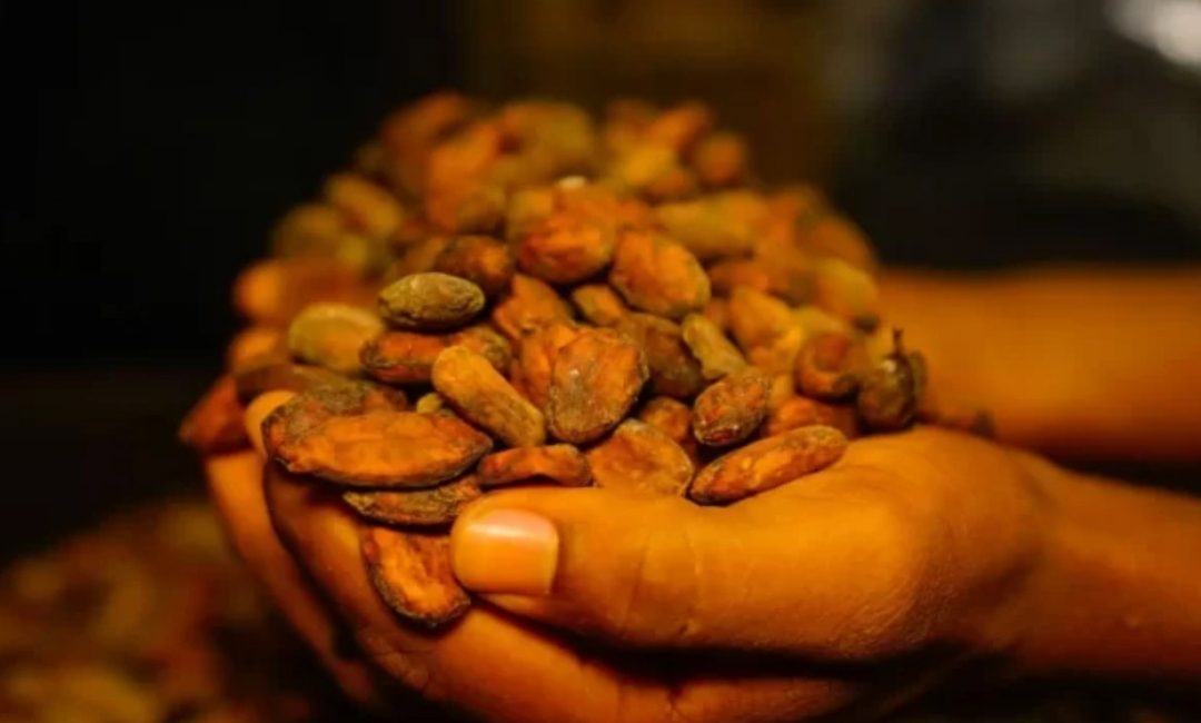 National Strategy for Closing Living Income Gap in the Cocoa Sector