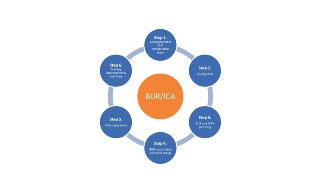Preparation of Biennial Update Report