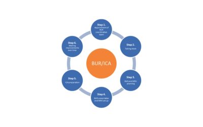 Preparation of Biennial Update Report
