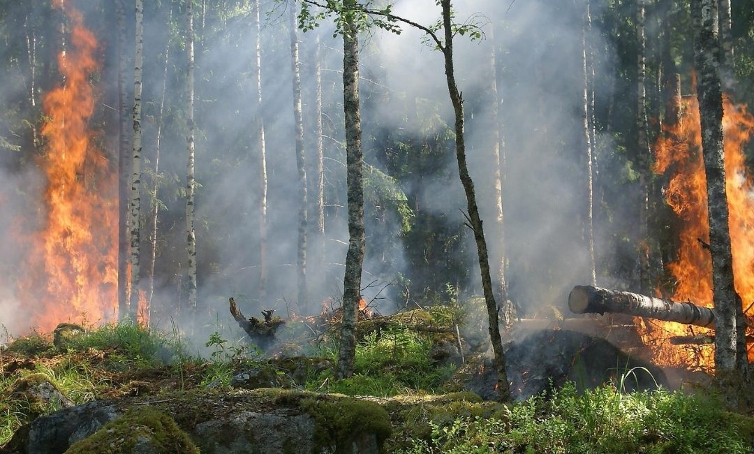 Private sector implication in the Green Climate Fund