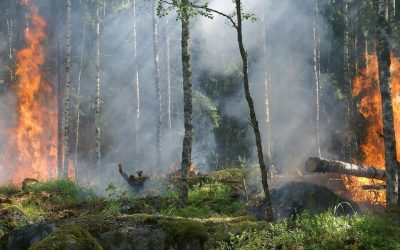 Private sector implication in the Green Climate Fund