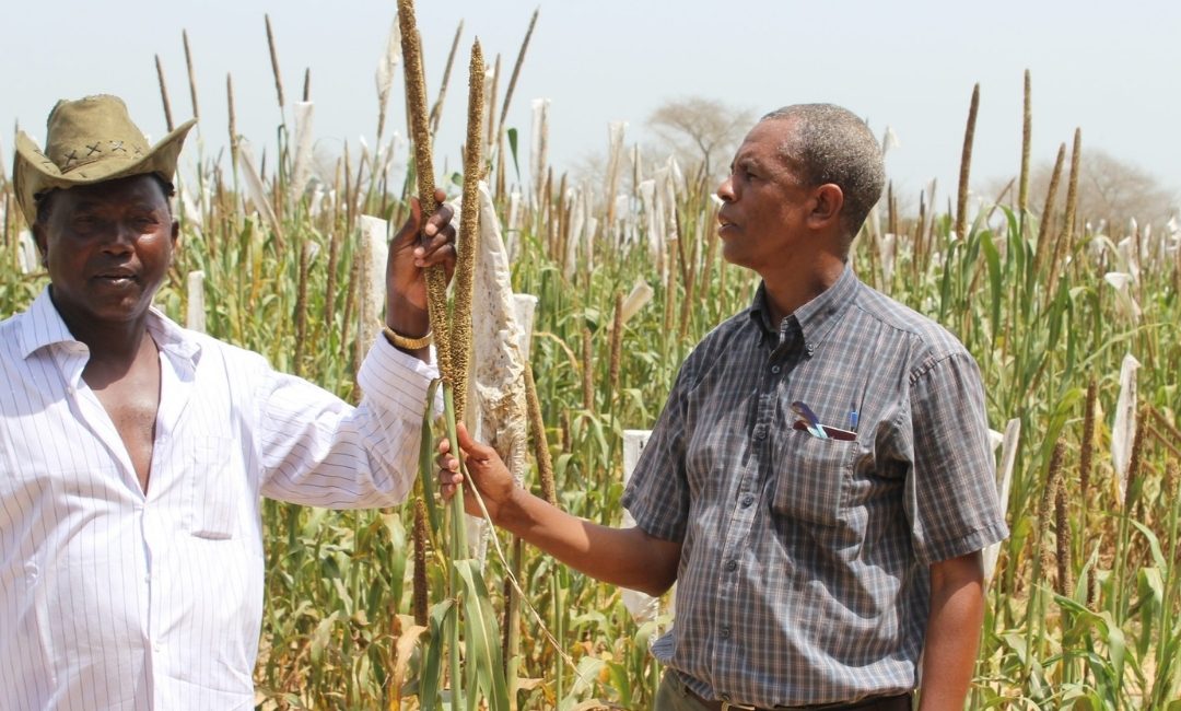 Promoting Climate Finance for Agriculture through NDC Processes