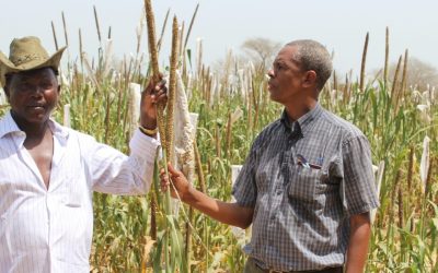 Promoting Climate Finance for Agriculture through NDC Processes