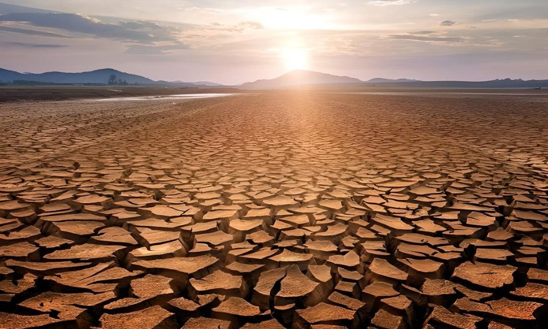 Quality Control of the National Adaptation Plan (NAP) Document